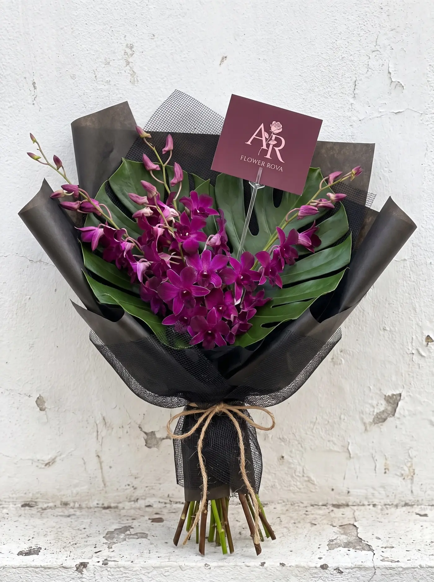 The Black Orchid — Purple dendrobium and monstera