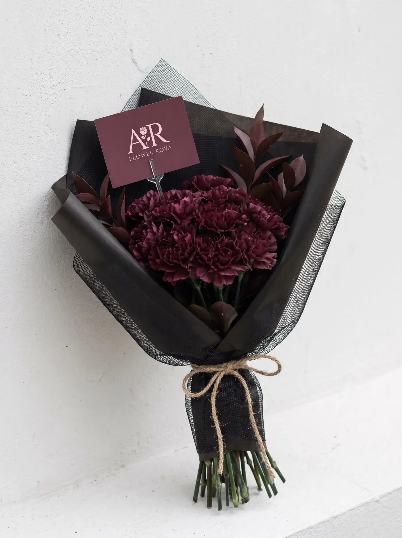 The Deep Well — Burgundy carnation, massed
