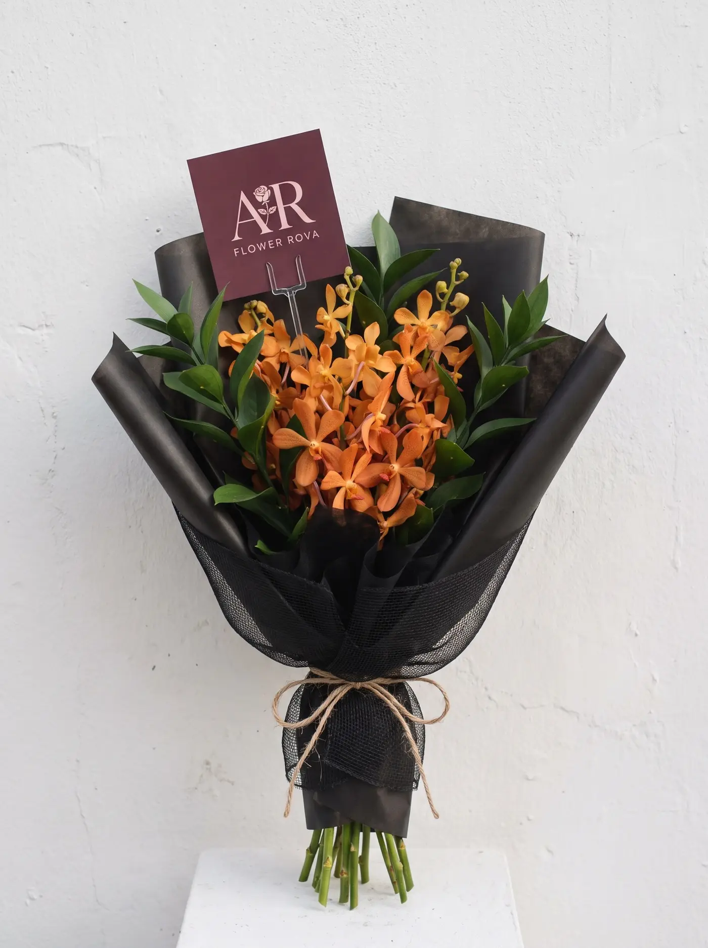 The Mokara — Orange mokara orchid, Thai-grown
