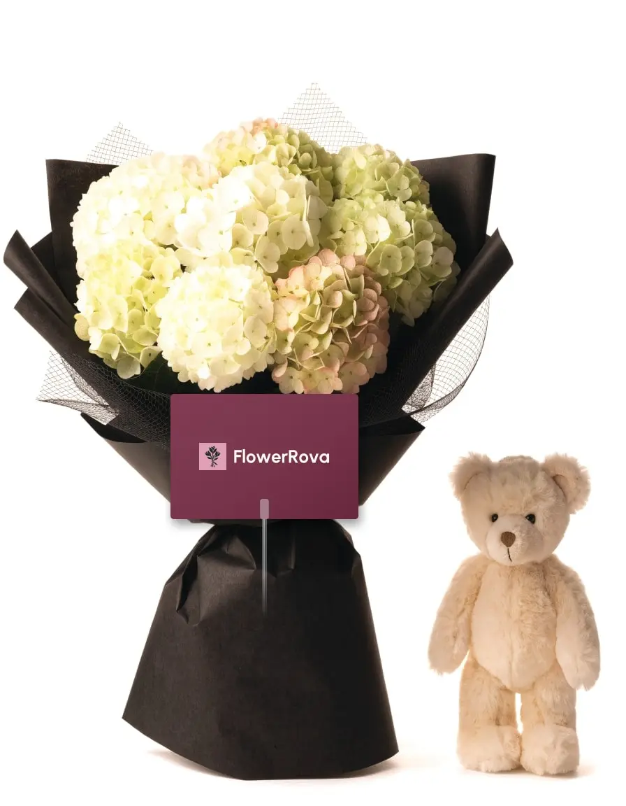 10 Hydrangeas beside a plush bear, product visualisation